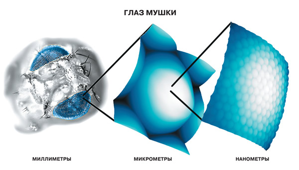 Антибликовое покрытие из белка и воска